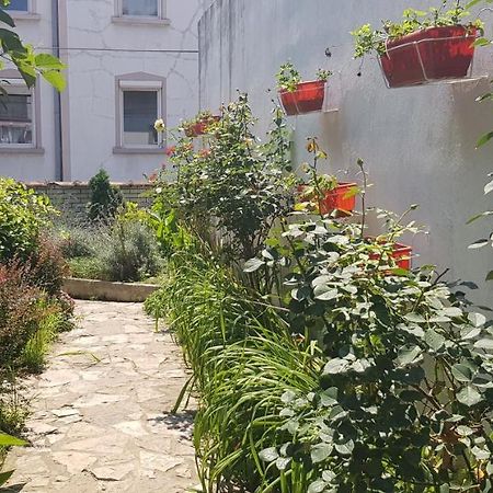 בלגרד Garden Apartments מראה חיצוני תמונה