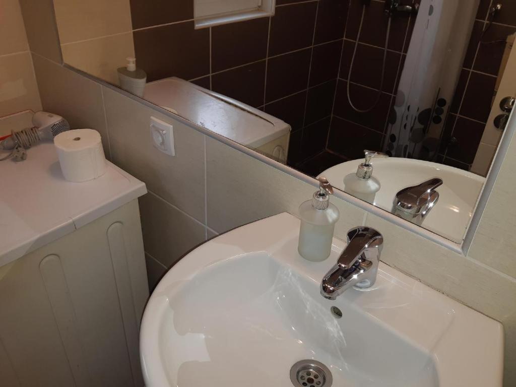 בלגרד Garden Apartments מראה חיצוני תמונה